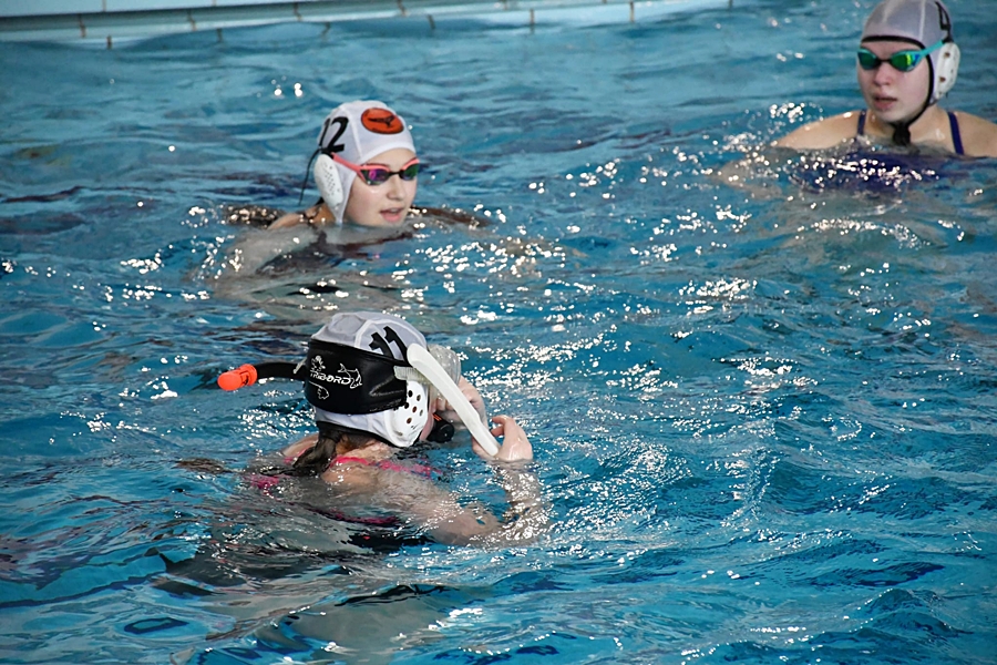 Hokej pod wodą Walenie Siemianowice Śląskie Finał WOŚP w Rudzie Śląskiej 25 I 2026